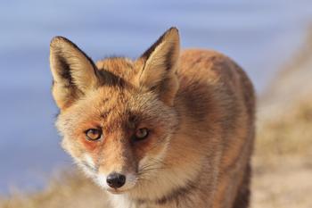 �˿˷�����ǧ����Ƶ��Ƶ���⽻����Ӧ����Ա���Ϻ����Ŷ��ߡ�����...